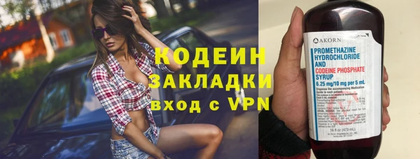 гашик Ельня