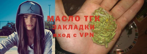 гашик Ельня