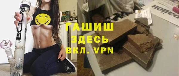 гашик Ельня