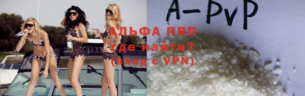 гашик Ельня