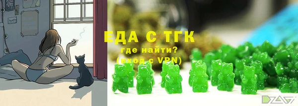 гашик Ельня