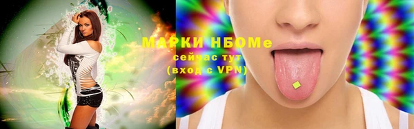 гашик Ельня