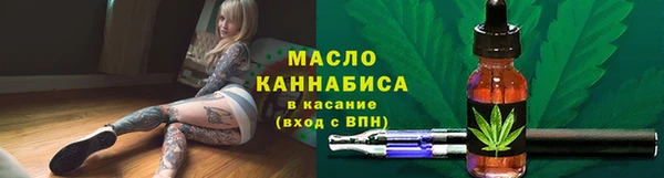 гашик Ельня