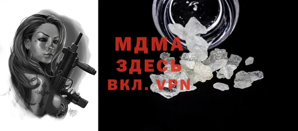 гашик Ельня