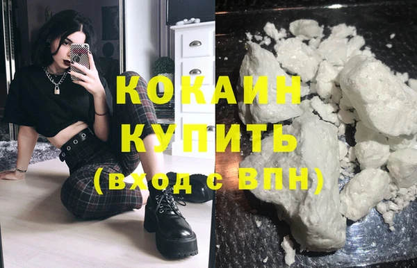 гашик Ельня
