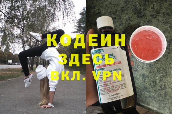 гашик Ельня