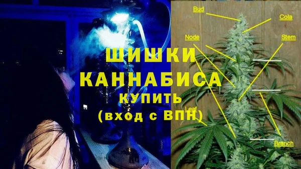 бошки Елабуга