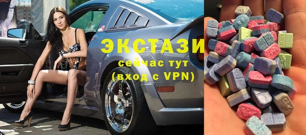 гашик Ельня