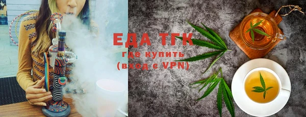 гашик Ельня