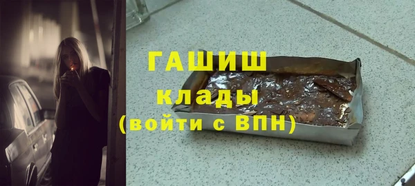 гашик Ельня