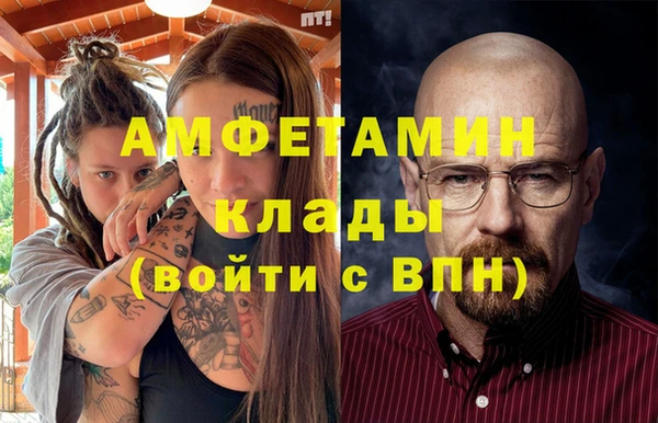 гашик Ельня
