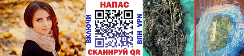 купить наркотик  ОМГ ОМГ как войти  Бошки марихуана AK-47  Малоярославец 